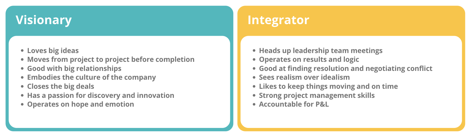 Visionar Vs. Integrator